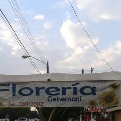 Florería Getsemaní