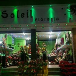 Floreria Gh By Soleil