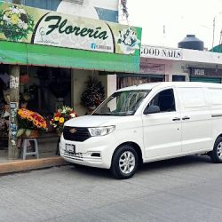 Floreria Gina