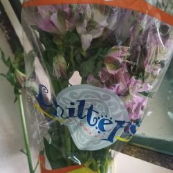 Florería Ginna