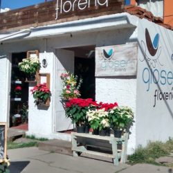 Florería Gioser
