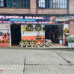 Floreria Girasol