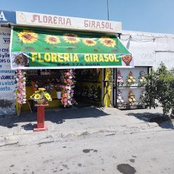 Floreria Girasol