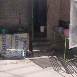 Florería Girasol