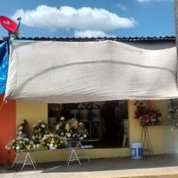 FlorerÍa "girasol"