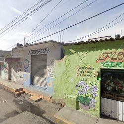 Floreria Girasoles