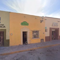 Floreria Girasoles