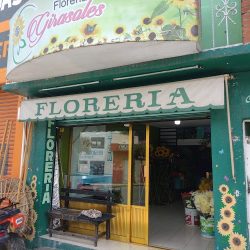Floreria Girasoles