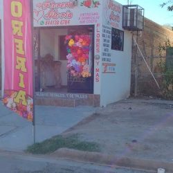 Florería Gloria