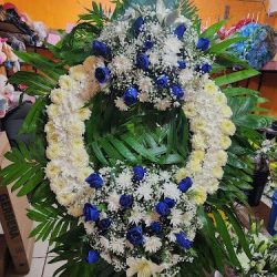 Floreria Gloria