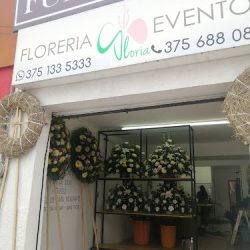 Floreria Gloria Funerales