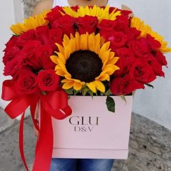 FlorerÍa Glu D&v