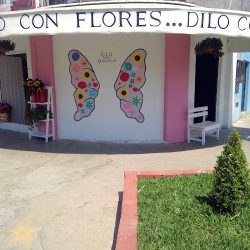 Floreria Glu D&v Oaxaca