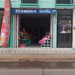 Floreria Godiz