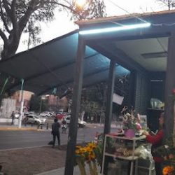 Florería González 1
