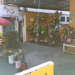 Florería Goy