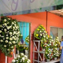 Floreria Grey's