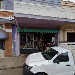 Florería Gris Autlán