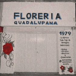 Floreria Guadalupana