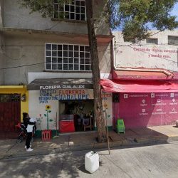 Floreria Guadalupe