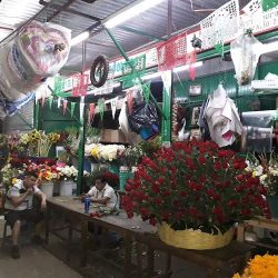 "floreria Guadalupe"