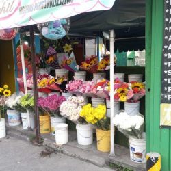 Floreria Guamuchil