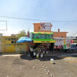 Floreria Guicho