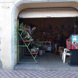 Floreria Guzep