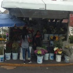 Floreria Hanna
