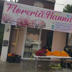 Florería Hanna