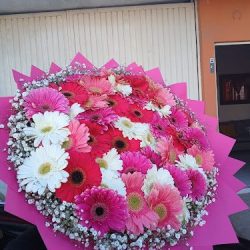 Florería Hanna
