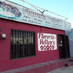Floreria Hellen's