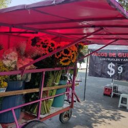 Floreria Hernandes Local 2
