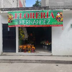 Floreria HernÁndez