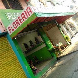 Florería Hernández