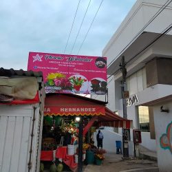 Florería Hernández