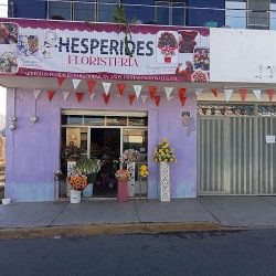 Floreria Hesperides