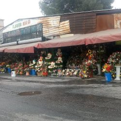 Florería Hidalgo
