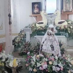 Floreria Hidalgo