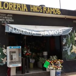 Floreria Hnos Ramos
