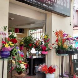 Floreria Holandesa