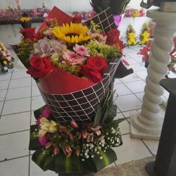 Floreria Hortencia