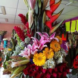 Floreria Hortencia