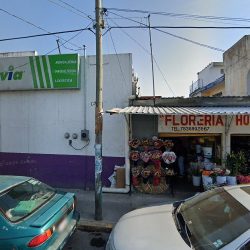 Floreria Hortensia