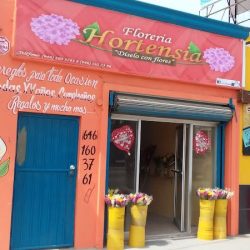 Floreria Hortensia