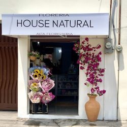 Floreria House Natural Alta Floristería