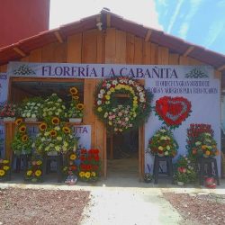 Floreria Huachinango La Cabañita