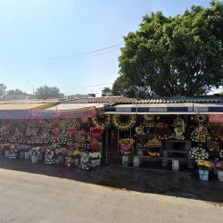 Floreria Hugo Local 16