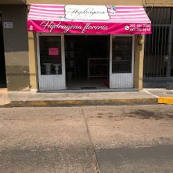 Florería Hydragena