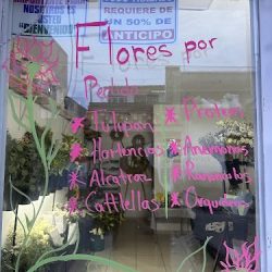 Floreria Ibarra